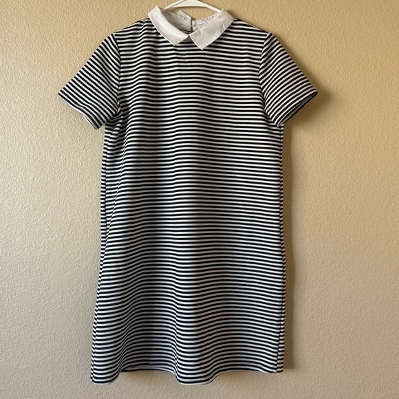 🖤 Zara Trafaluc Striped Collared Mini Dress – Size M - Picture 2 of 3
